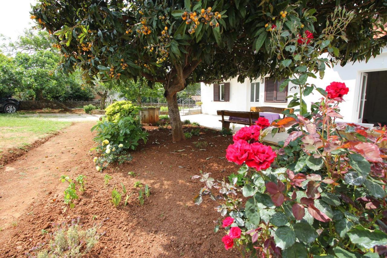 Casa Lidija Apartment Rovinj Ngoại thất bức ảnh